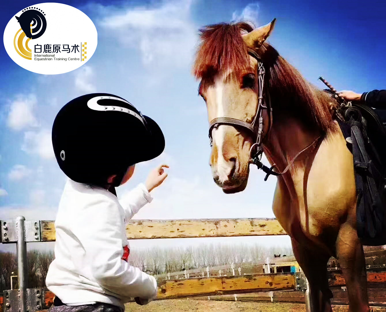 马背上的周末|圆艾宝一个骑士梦：亲子马术活动，真诚邀约 来不来？>